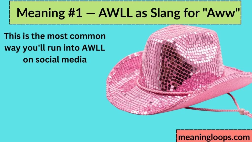 Meaning #1 — AWLL as Slang for "Aww"