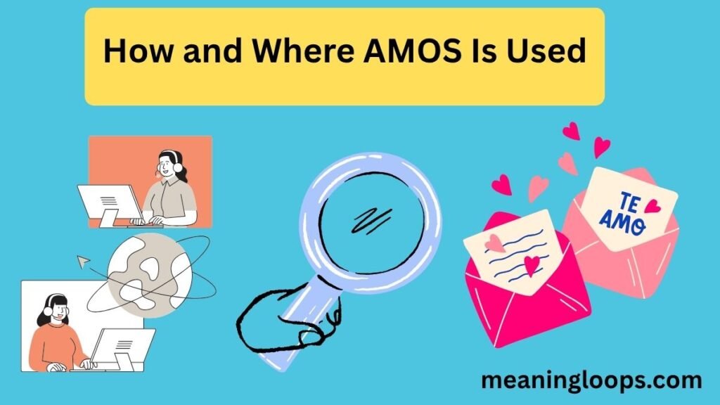 How and Where AMOS Is Used