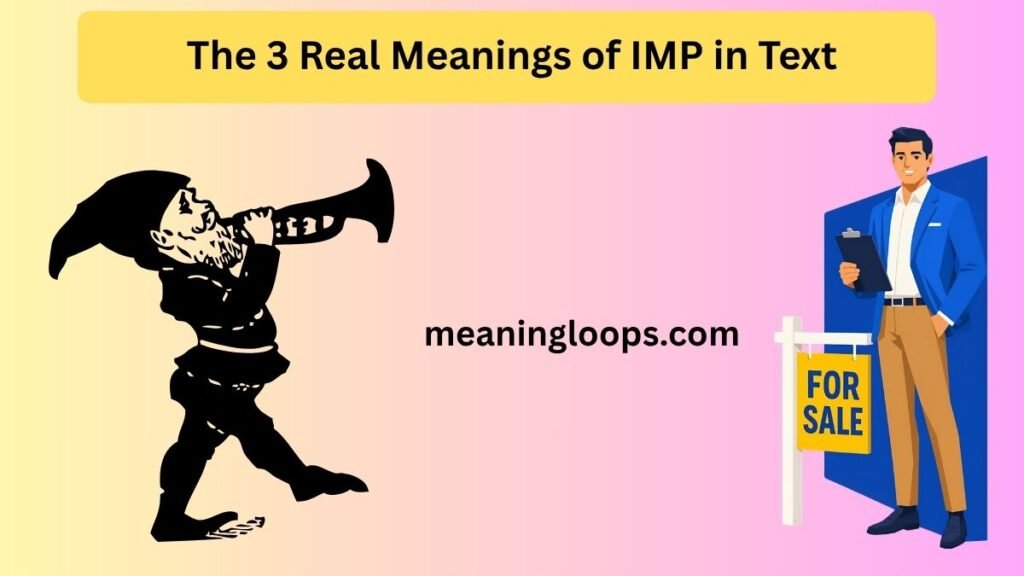 The 3 Real Meanings of IMP in Text (Not Just One)