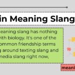 Twin Meaning Slang