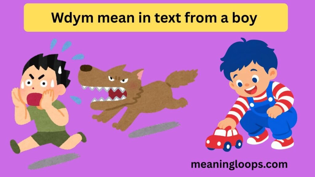 Wdym mean in text from a boy