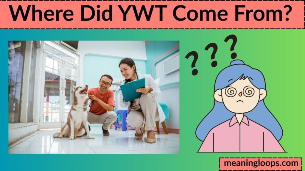 Where Did YWT Come From?
