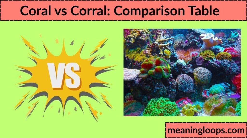 Coral vs Corral: Comparison Table
