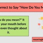 Is It Correct to Say "How Do You Mean?