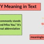 LMY Meaning in Text Explained: The Complete Guide to Definition, Usage