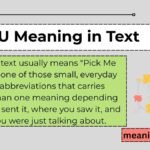 PMU Meaning in Text
