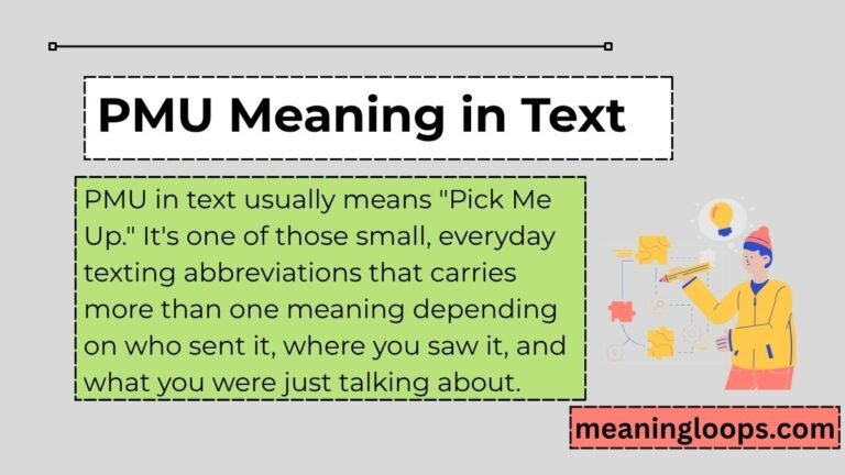 PMU Meaning in Text