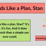 Sounds Like a Plan, Stan: The Meaning, Origin, and Real Story