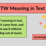 WTW Meaning in Text: What It Means, How to Use It, and Real-Life Examples