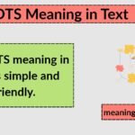 IDTS Meaning in Text: What It Really Means and How To Use It